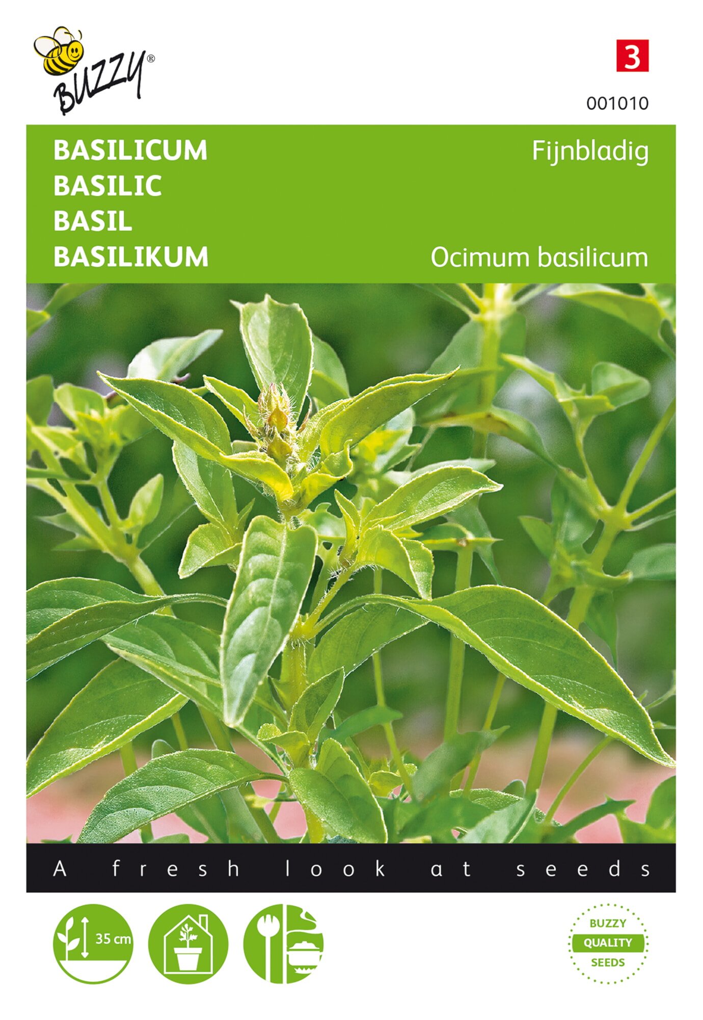 Buzzy® Ocimum basilicum minumum (Basil, Bush)