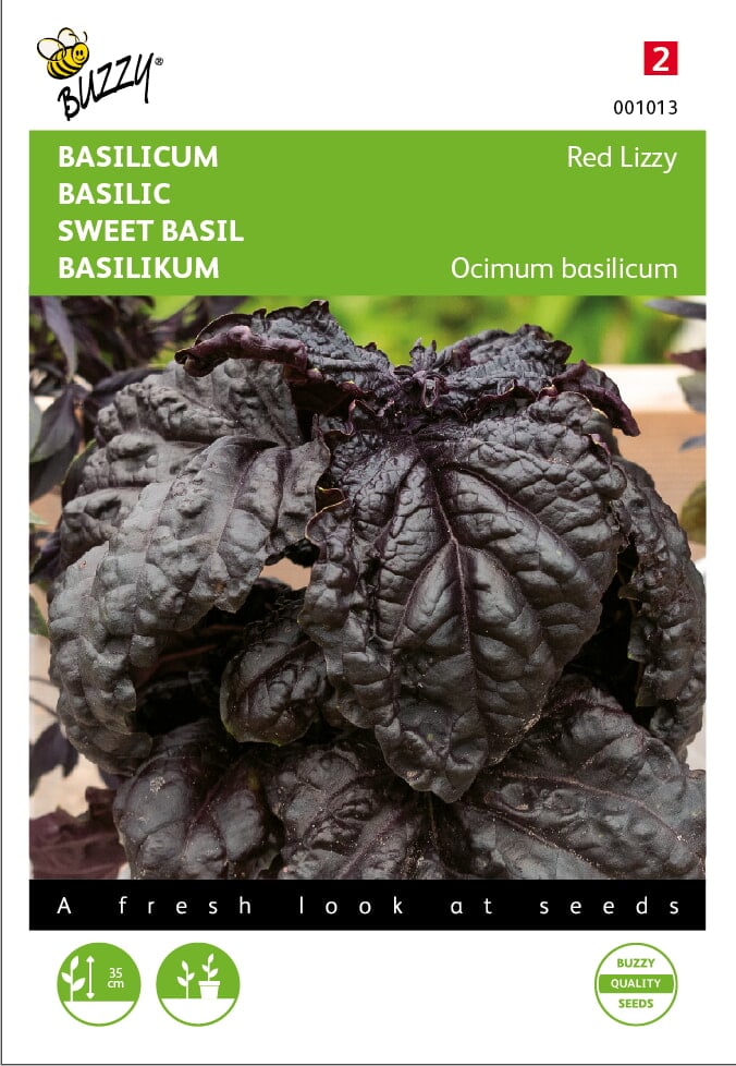 Buzzy® Basil Red Lizzy - Red Lettuce Leaved