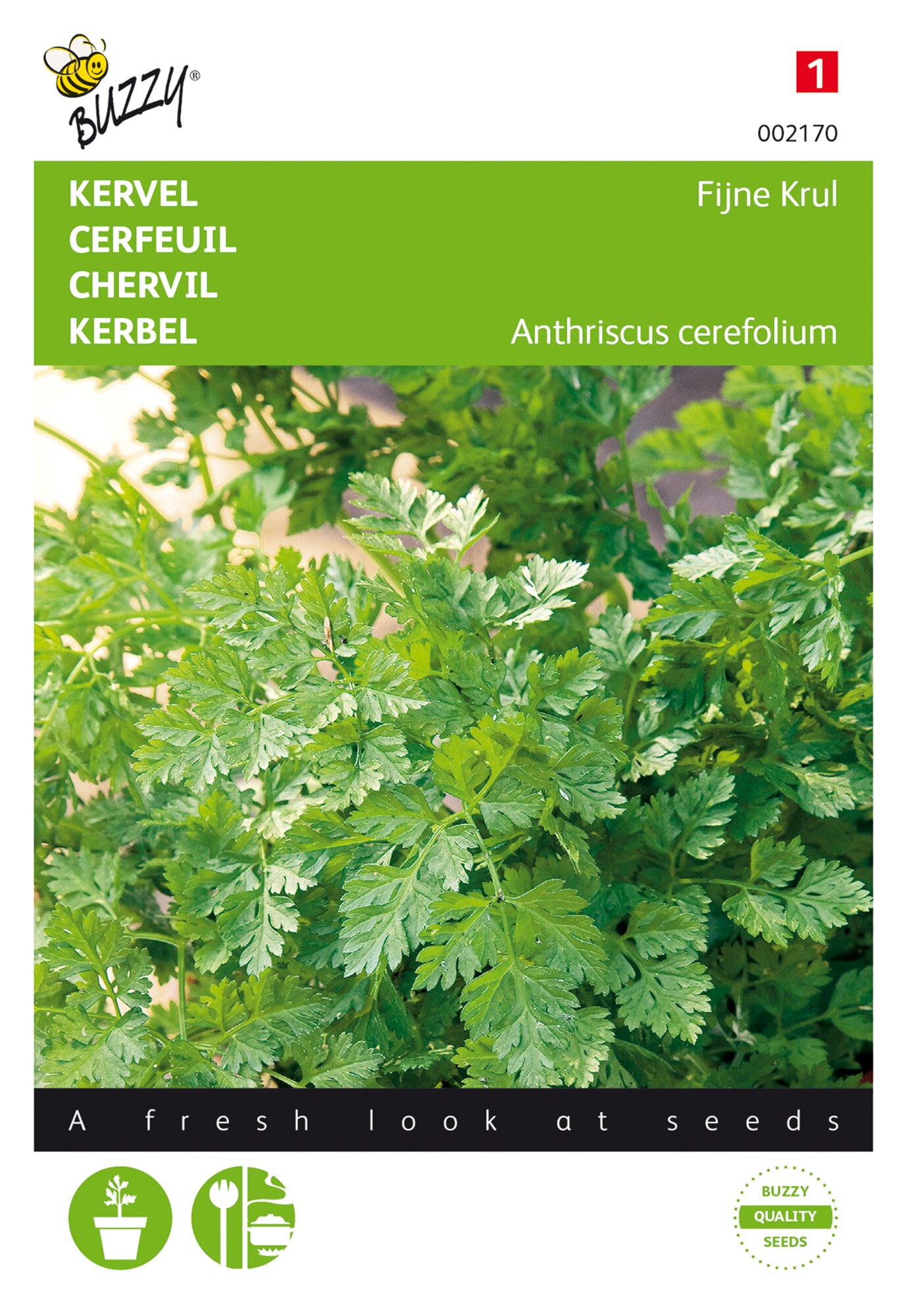 Buzzy® Chervil Fine curled
