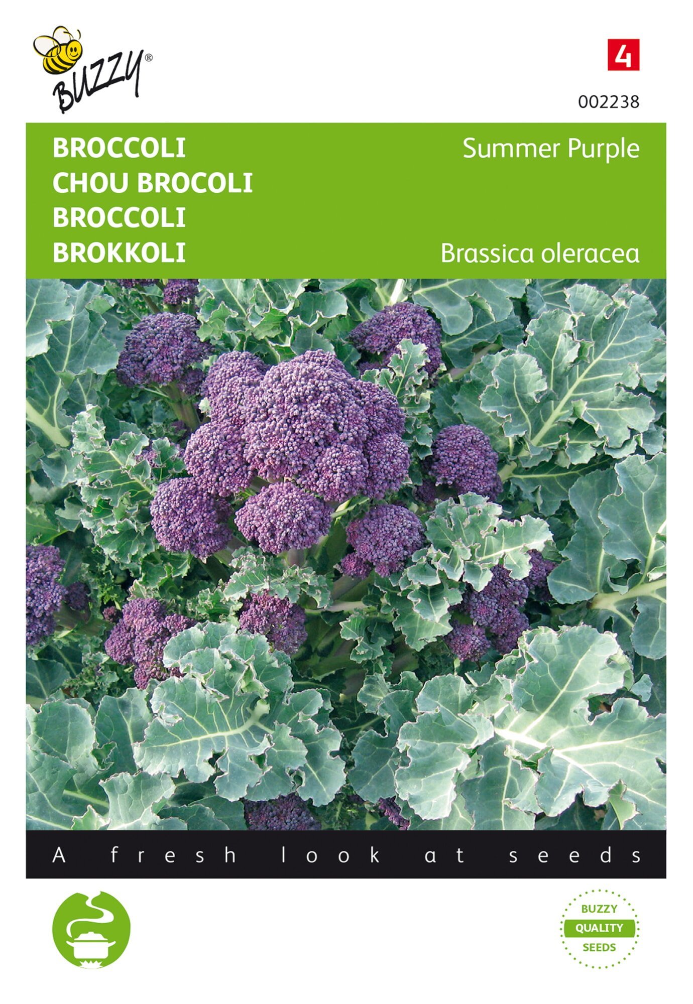 Buzzy® Broccoli Summer Purple
