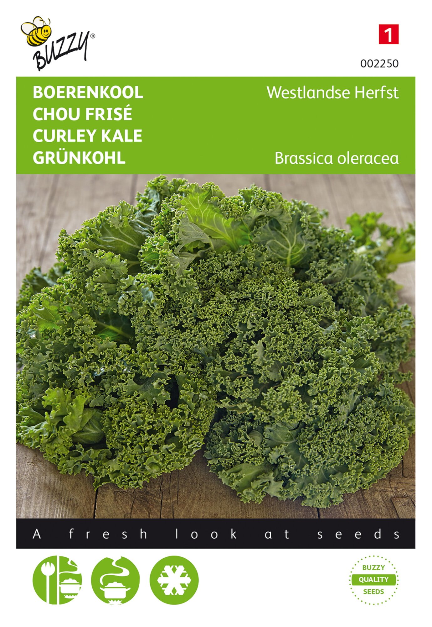 Buzzy® Curley kale Westland autumn