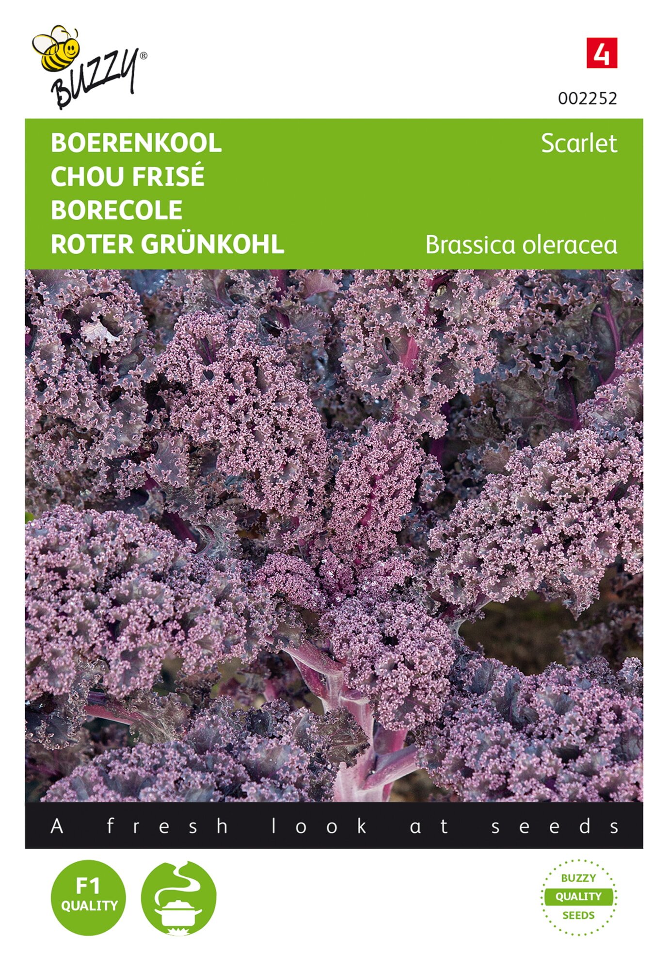 Buzzy® Borecole or Curly kale Scarlet (red)