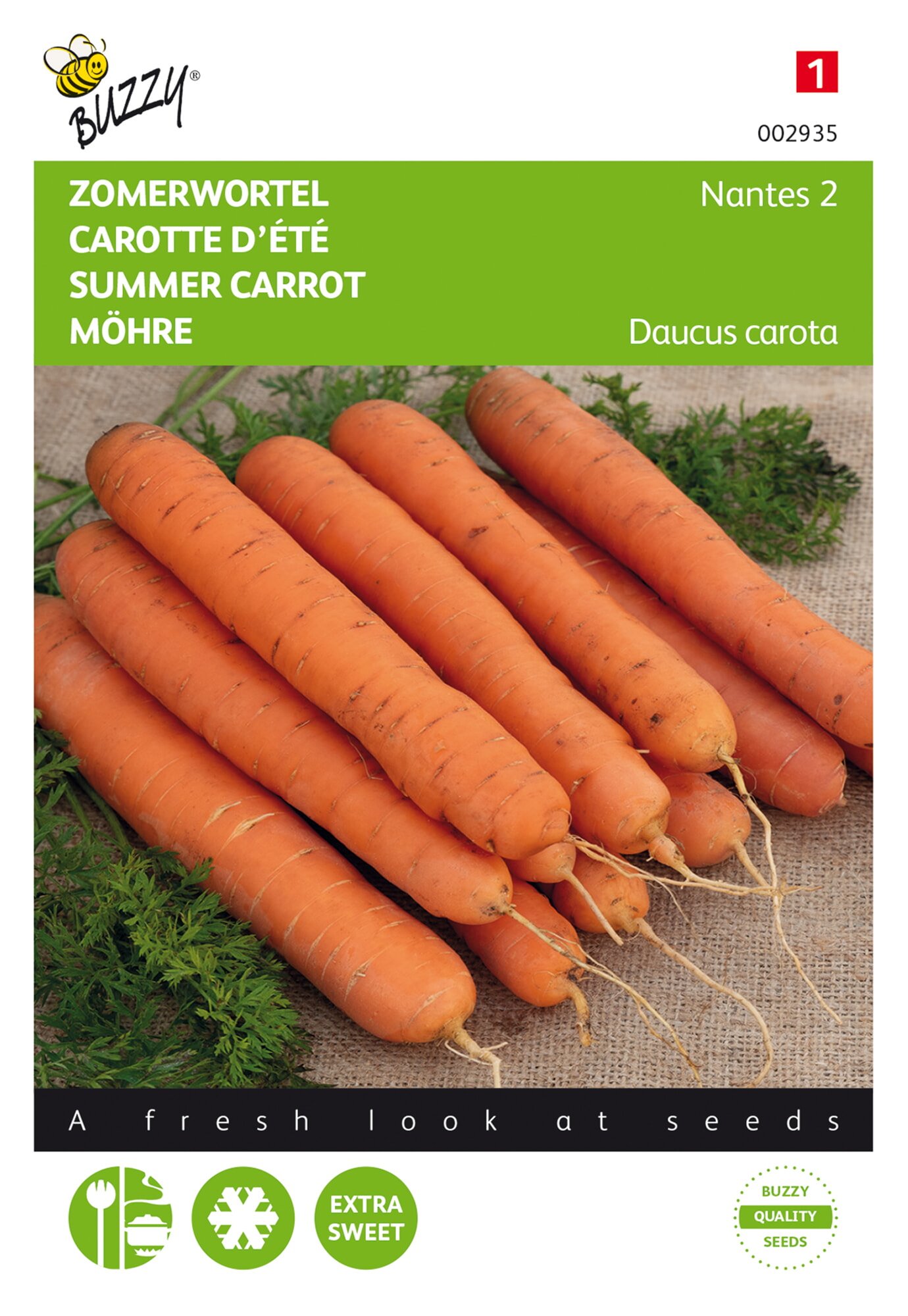 Buzzy® Summer carrot Nantes 2