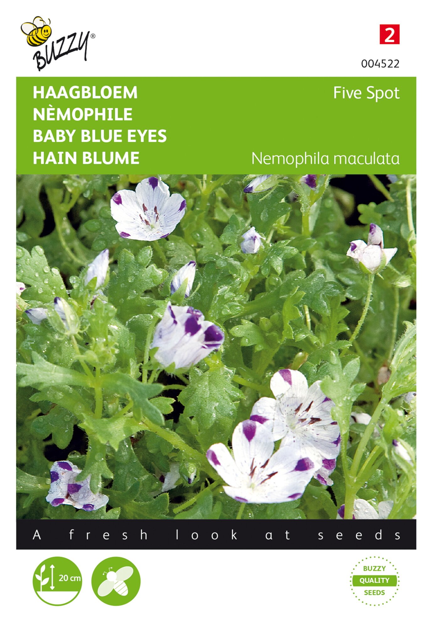 Buzzy® Baby Blue Eyes - Five Spot