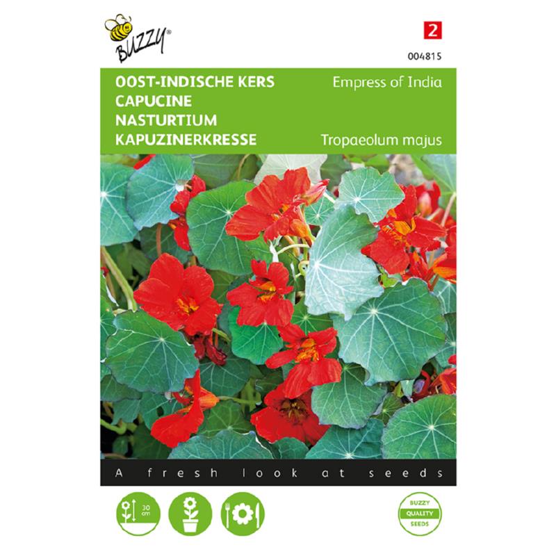 Buzzy® Nasturtium Empress of India