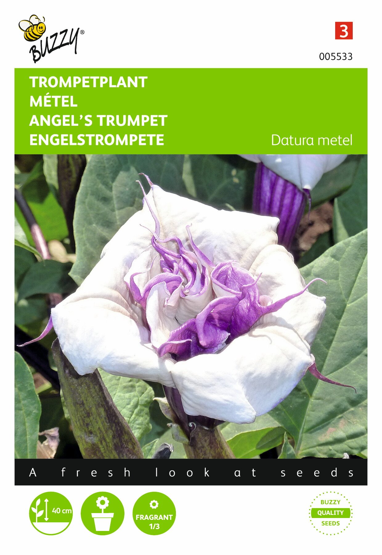 Buzzy® Angels trumpet