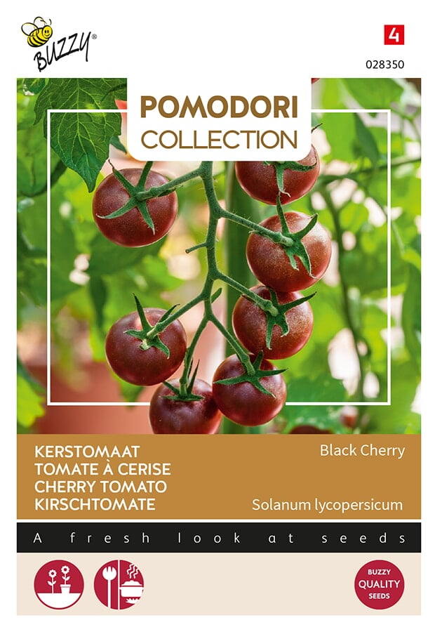 Buzzy® Pomodori, Cherry tomato Black Cherry