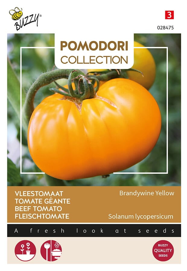 Buzzy® Pomodori, Beef Tomato Brandywine Yellow