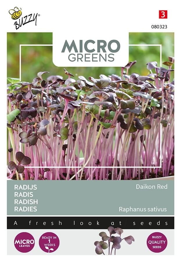 Buzzy® Microgreens, Radish Daikon Red