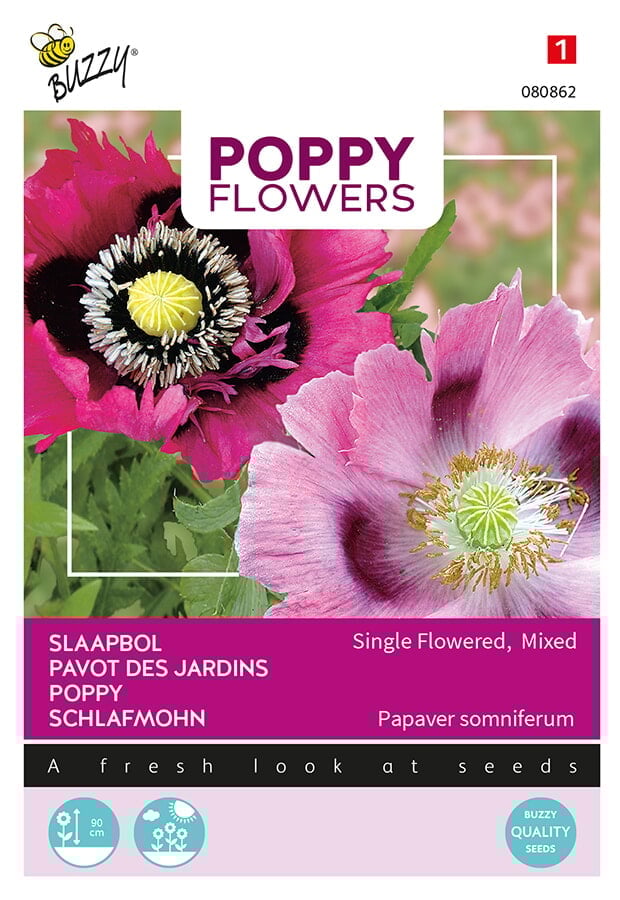 Buzzy® Poppy Flowers Somniferum mixed
