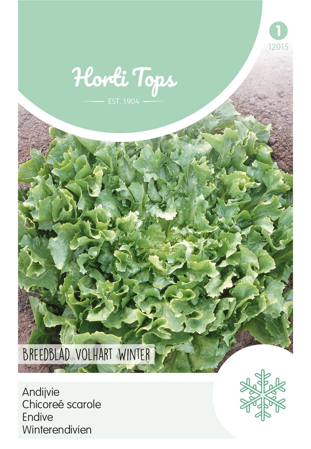 Horti Tops® Endive Avantgarde