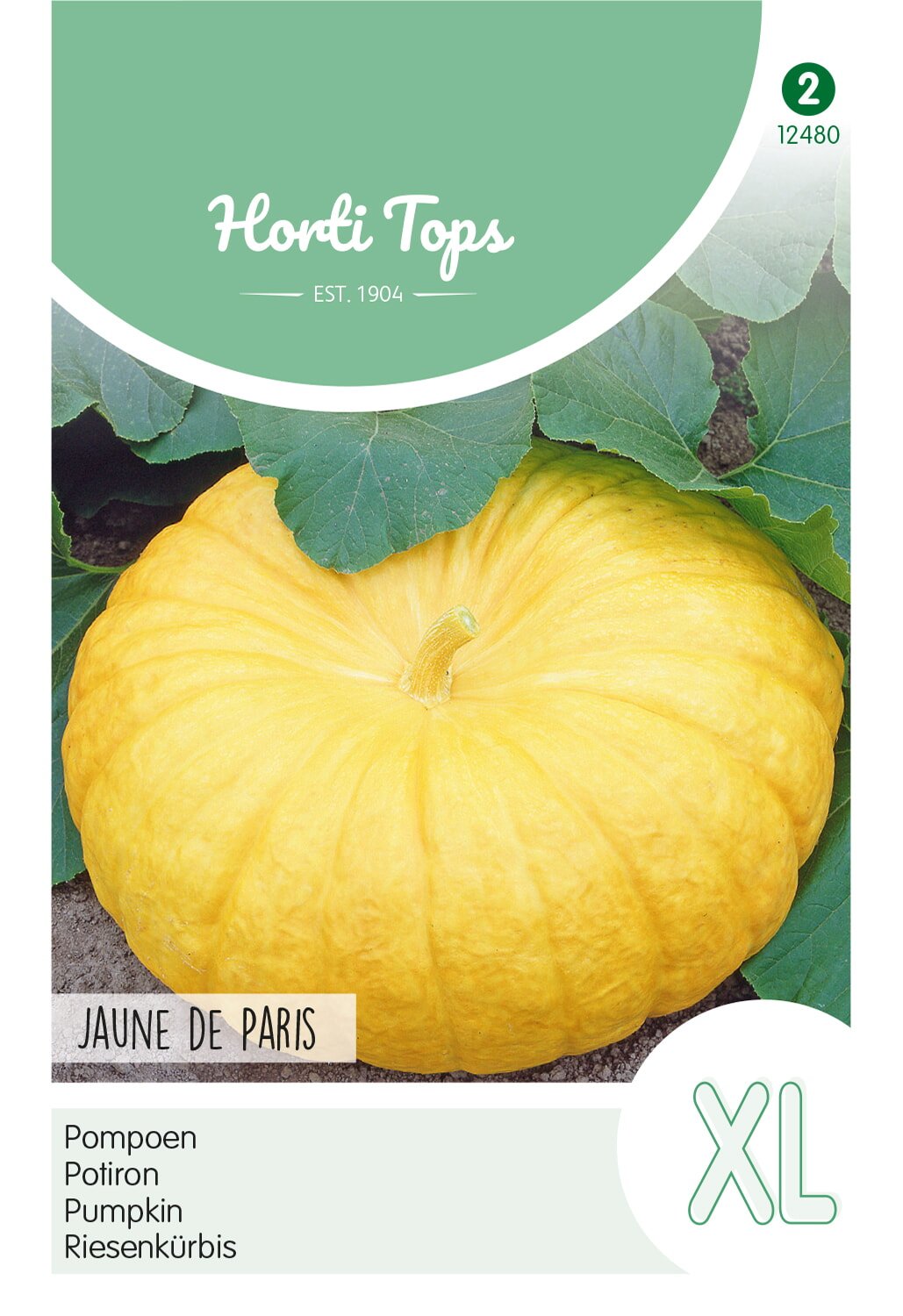 Horti Tops® Pumpkin Jaune de Paris, Yellow Pump.