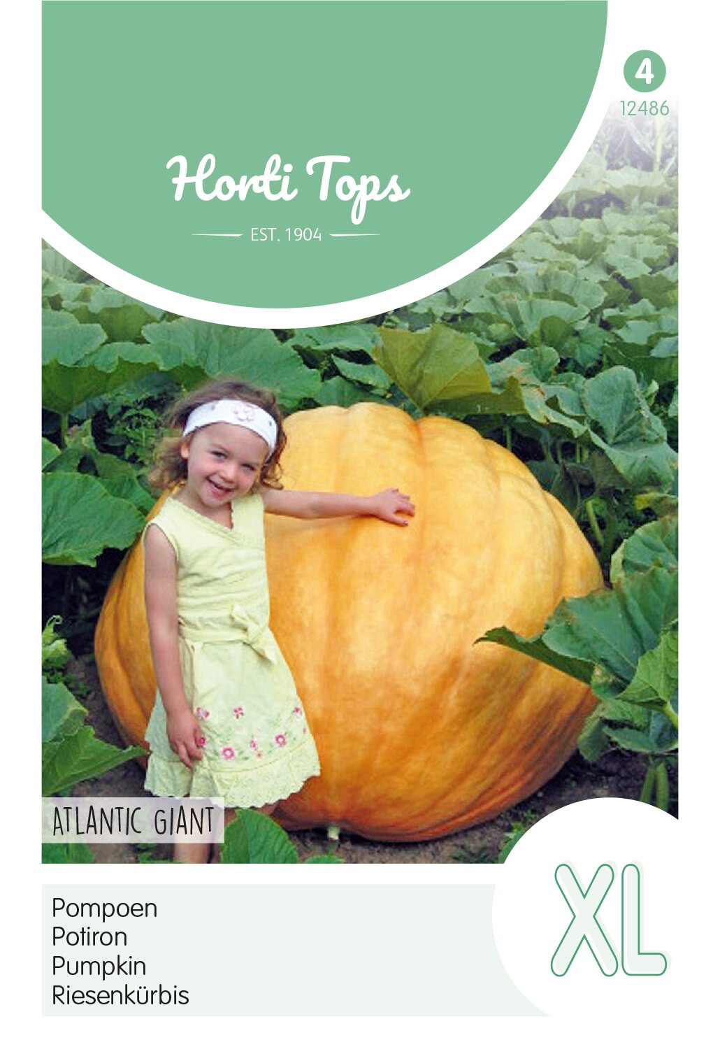 Horti Tops® Pumpkin Atlantic Giant