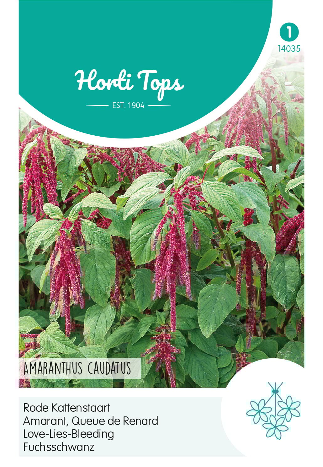 Horti Tops® Amaranthus caudatus / Love-Lies-Bleeding