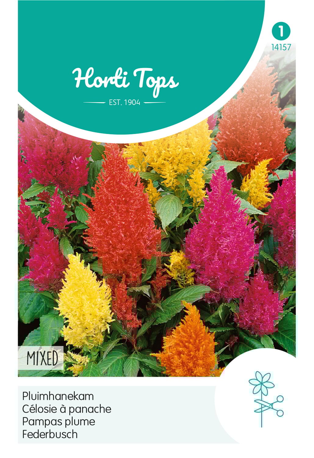 Horti Tops® Celosia Argentea Plumosa Mixed