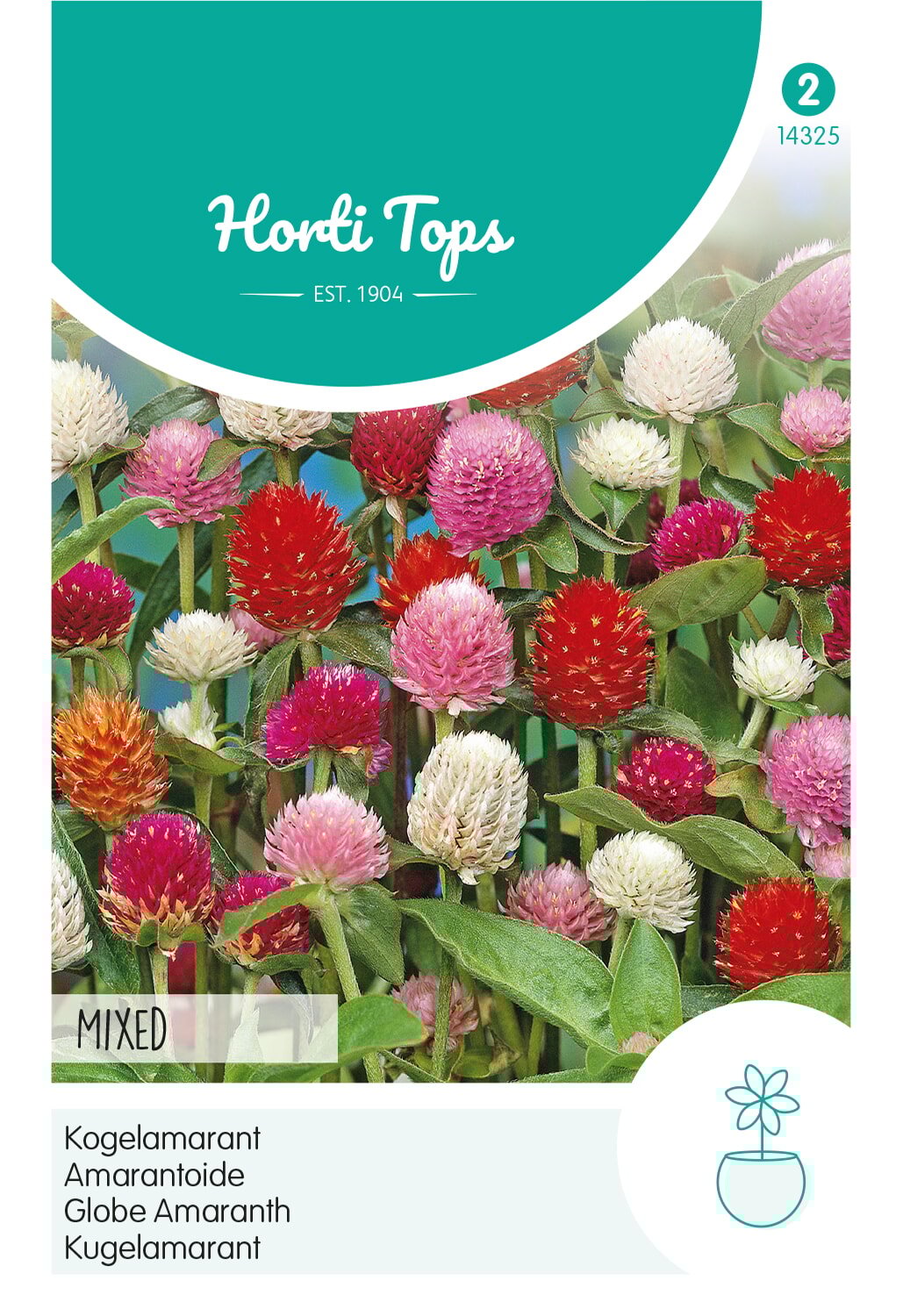 Horti Tops® Gomphrena Globosa Choice Mixed