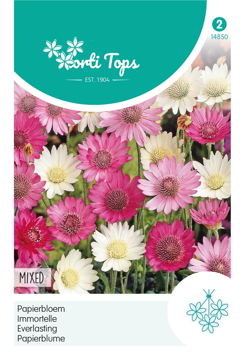 Horti Tops® Everlasting, Immortelle mixed