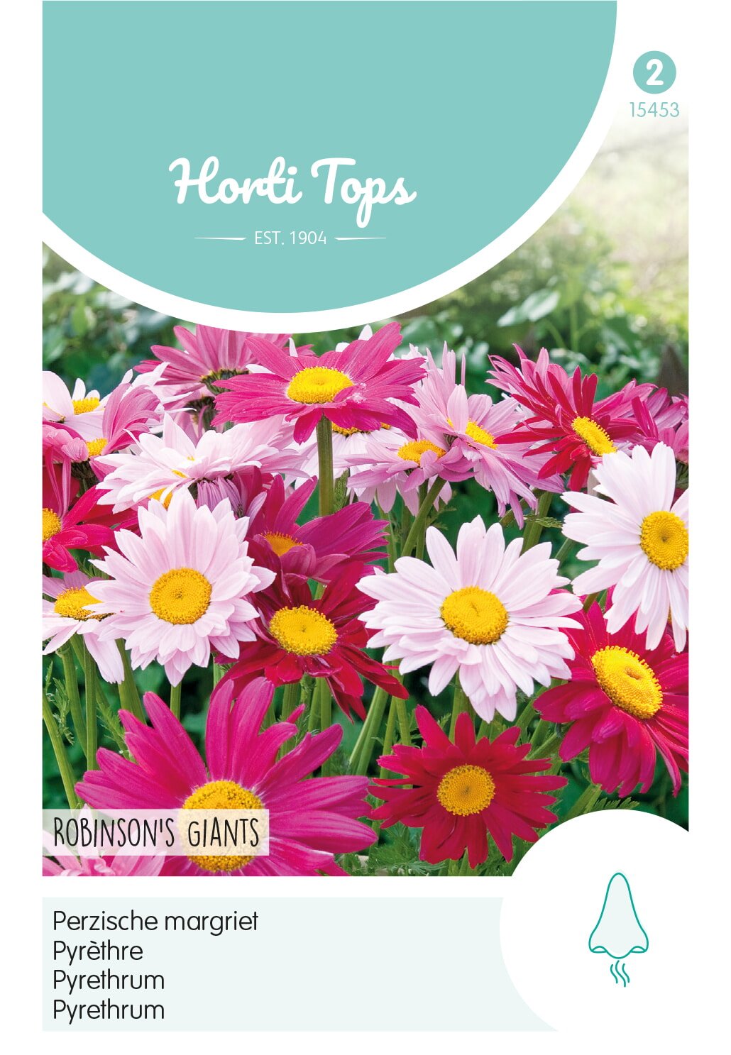 Horti Tops® Pyrethrum hybr. Robinson's Giants mixed