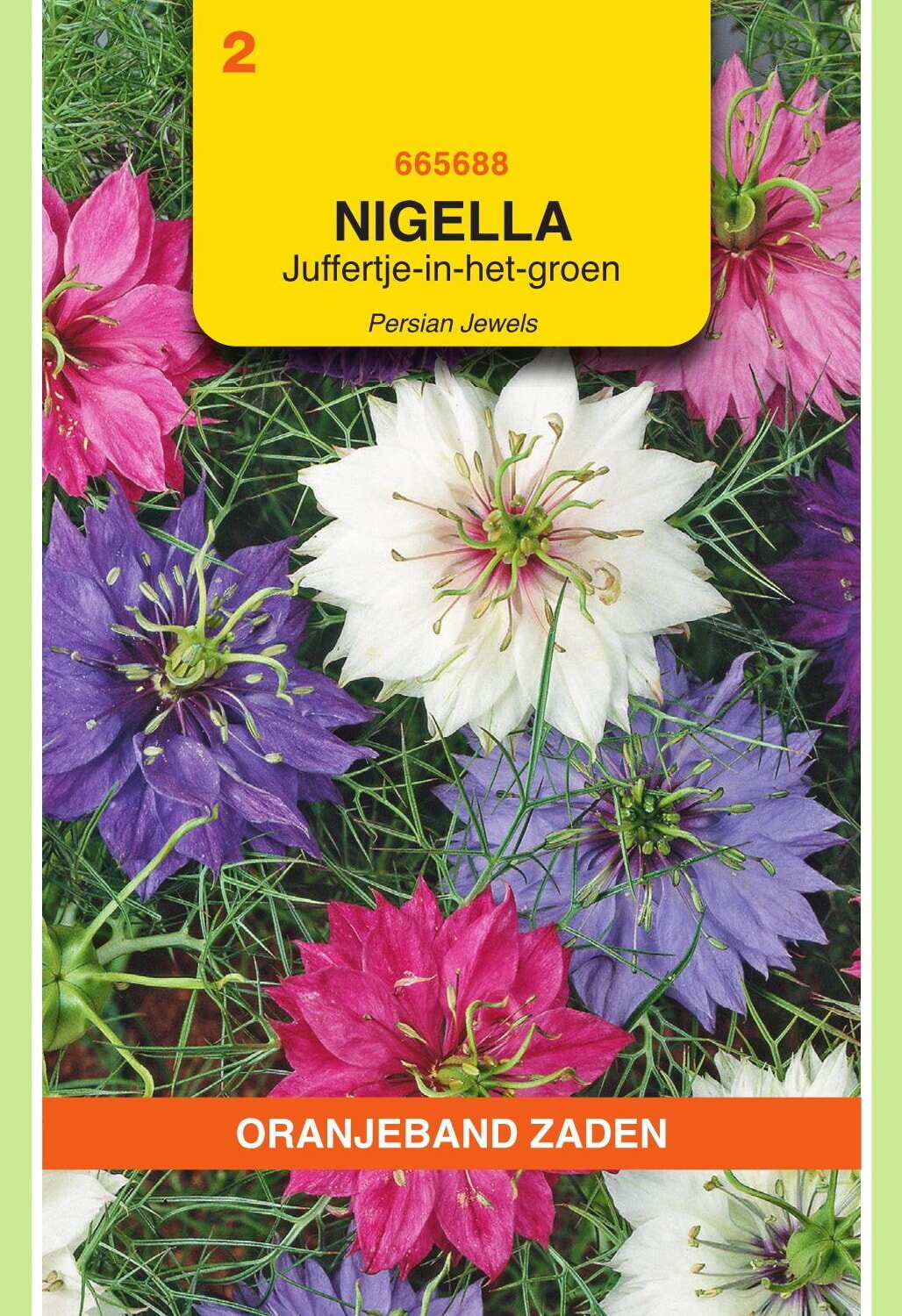 Oranjeband® Nigella Damascena Persian Jewels Mixed