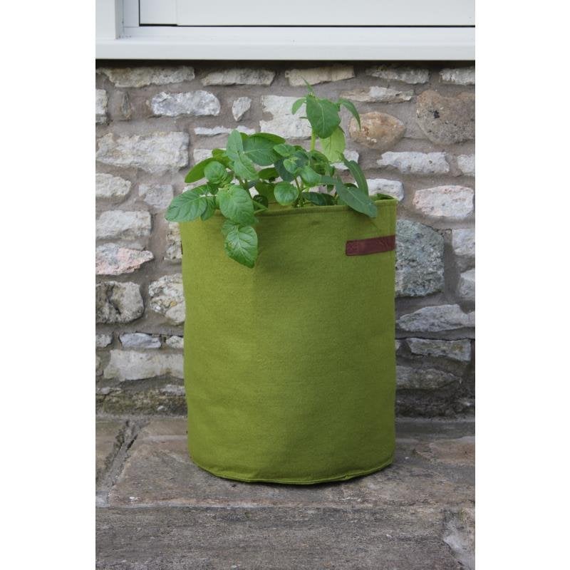 Vigoroot plantepose for Tomatoes and Potatoes